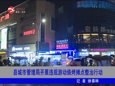 修水县城市管理局开展违规游动烧烤摊点整治