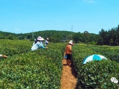 【关注】祝贺！我县马坳镇入围国家级重磅名单！