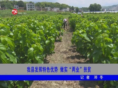 【脱贫攻坚】修水发挥特色优势 做实“两业”扶贫