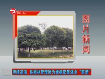 【图片新闻】持续高温 修水县园林管理所为绿植密集浇水“解渴”