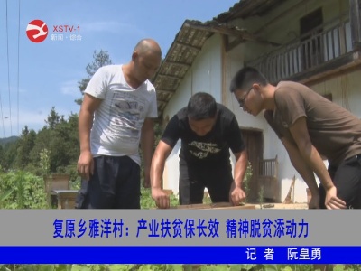 【脱贫攻坚】复原乡雅洋村: 产业扶贫保长效  精神脱贫添动力