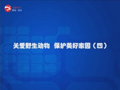关爱野生动物 保护美好家园（四）