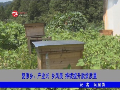 【脱贫攻坚】复原乡：产业兴 乡风美 持续提升脱贫质量