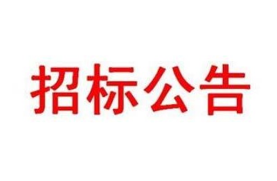 港口镇大源村殿下新修河堤建设工程招标公告