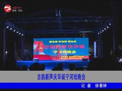 古韵新声庆华诞宁河戏晚会