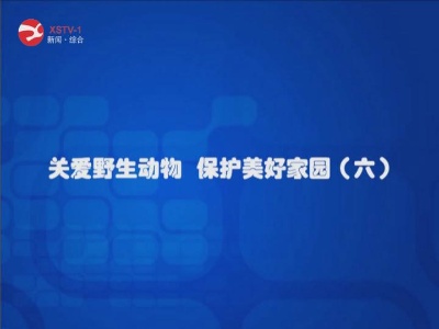 关爱野生动物 保护美好家园（六）