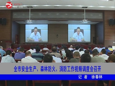 全市安全生产、森林防火、消防工作视频调度会召开