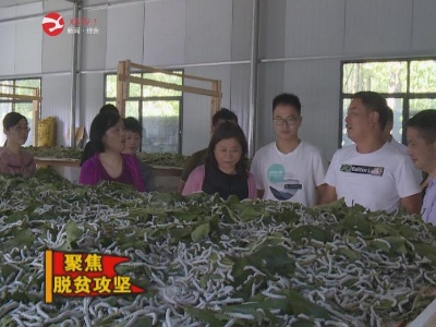 【脱贫攻坚】省总工会携手企业帮扶复原乡雅洋村