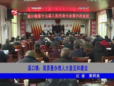 溪口镇：高质量办理人大意见和建议