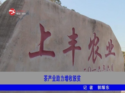 【为人民谋幸福】修水茶产业助力增收脱贫