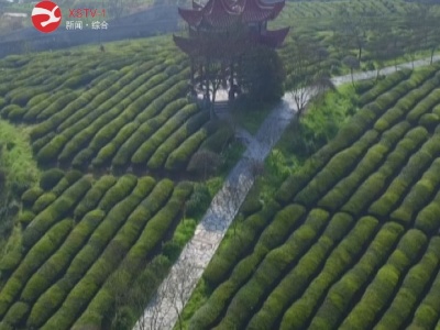 全国第二家茶产业科技小院——宁红茶科技小院揭牌