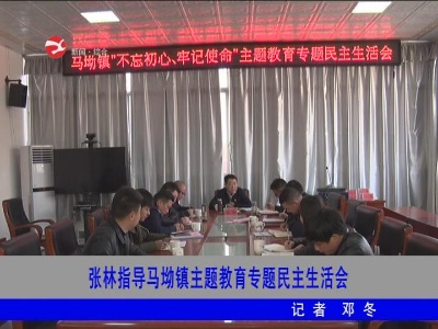 【不忘初心 牢记使命】张林指导马坳镇主题教育专题民主生活会