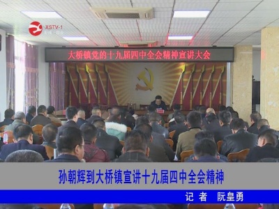 孙朝辉到大桥镇宣讲十九届四中全会精神