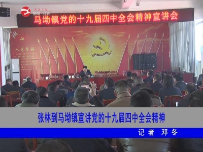 【不忘初心 牢记使命】张林到马坳镇宣讲党的十九届四中全会精神