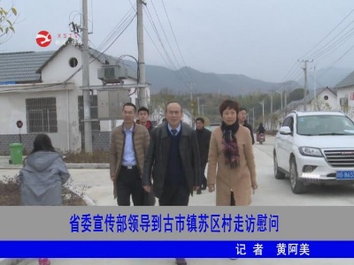 【新春走基层】省委宣传部领导到古市镇苏区村走访慰问
