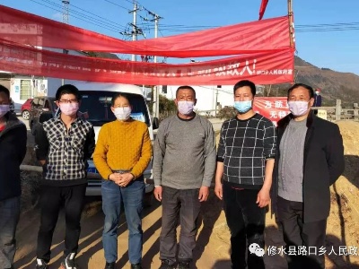 路口乡：战地党旗别样红，“疫”线党员竞生辉（一）