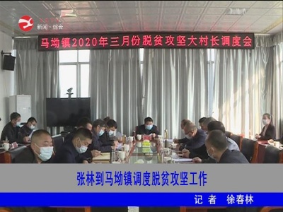 【抓防疫 促生产】张林到马坳镇调度脱贫攻坚工作