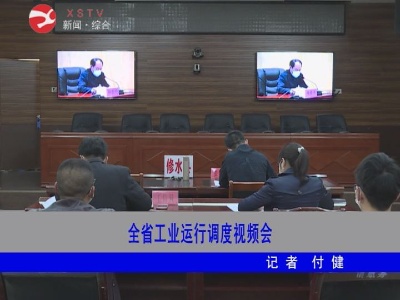 全省工业运行调度视频会