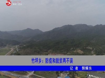 【抓防疫 促生产】竹坪乡：防疫和脱贫两不误