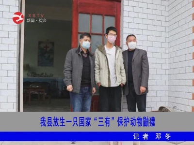 修水县放生一只国家“三有”保护动物鼬獾