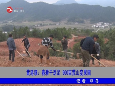 黄港镇：春耕干劲足 500亩荒山变果园