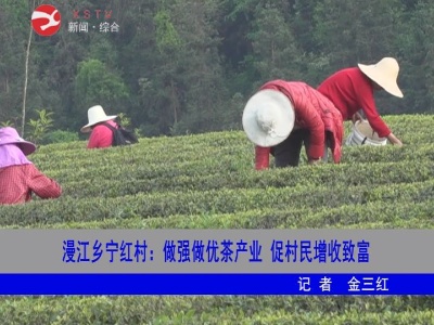 【脱贫攻坚】漫江乡宁红村：做强做优茶产业 促村民增收致富