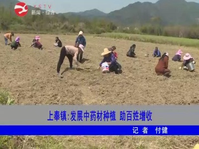 【脱贫攻坚】上奉镇：发展中药材种植 助百姓增收