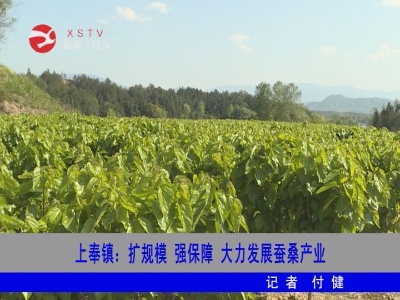 上奉镇：扩规模强保障  大力发展蚕桑产业