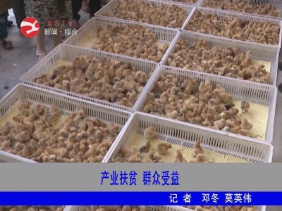 【脱贫攻坚】产业扶贫 群众受益