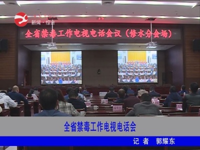 全省禁毒工作电视电话会