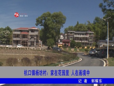 杭口镇杨坊村：家在花园里  人在画境中