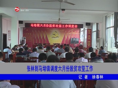张林到马坳镇调度六月份脱贫攻坚工作
