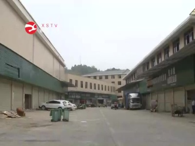 修水县市监局开展厄瓜多尔进口冻南美虾排查