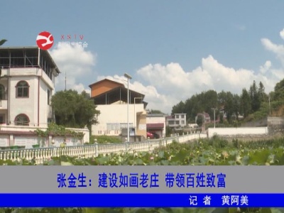 张金生：建设如画老庄 带领百姓致富