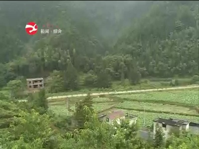 新湾乡回坑村：莲子大丰收
