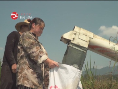 上奉镇:趁晴好天气抢收中稻