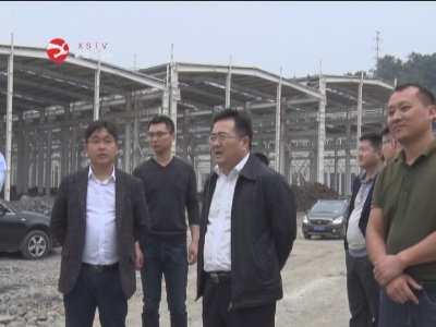 孙朝辉督查园区项目建设