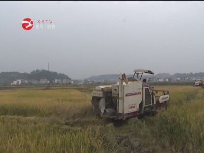 修水农业生产托管服务助农增产增收