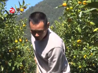 【走向我们的小康生活】车久山：种下致富果  带富众乡邻