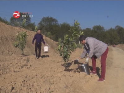 【我们的小康生活】新湾乡：荒山变果园  产业助力乡村振兴