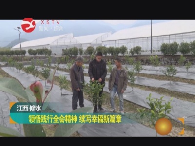 【贯彻全会抓落实 统筹全局促发展】领悟践行全会精神  续写幸福新篇章