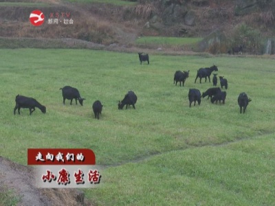 【走向我们的小康生活】县统计局：倾情帮扶岩嘴村  不让一名贫困群众掉队