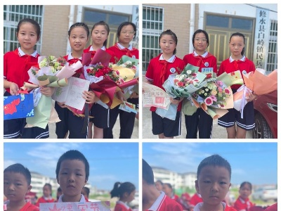 “红领巾进军营 迎八一立志向”  ——白岭镇小学“八一”建军节活动