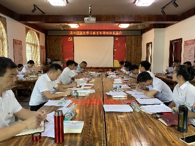 溪口镇政府机关支部召开党史学习教育专题组织生活会