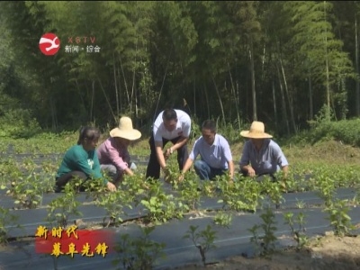 【新时代幕阜先锋】一心为民好支书  胡波：乡村振兴领路人