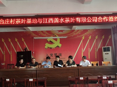 东港乡政府就台庄茶叶产业园基地第一期举行签约仪式