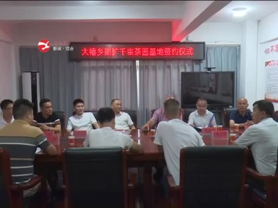 大椿乡举行新扩千亩示范茶园基地签约仪式