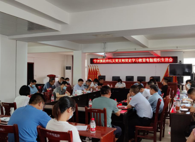 宁州镇政府机关党支部召开党史学习教育专题组织生活会