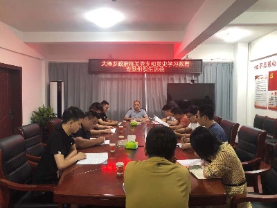 大椿乡政府支部召开党史学习教育专题组织生活会