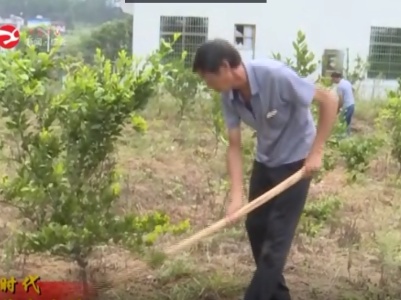 【新时代幕阜先锋】沈匹凡：一心为民好支书  初心不改一心为民